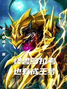 奥特老大杀手笔趣阁