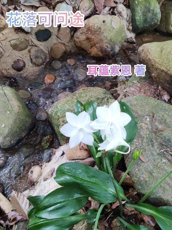 花落什么伴官途