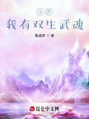 斗罗大陆之双生武魂