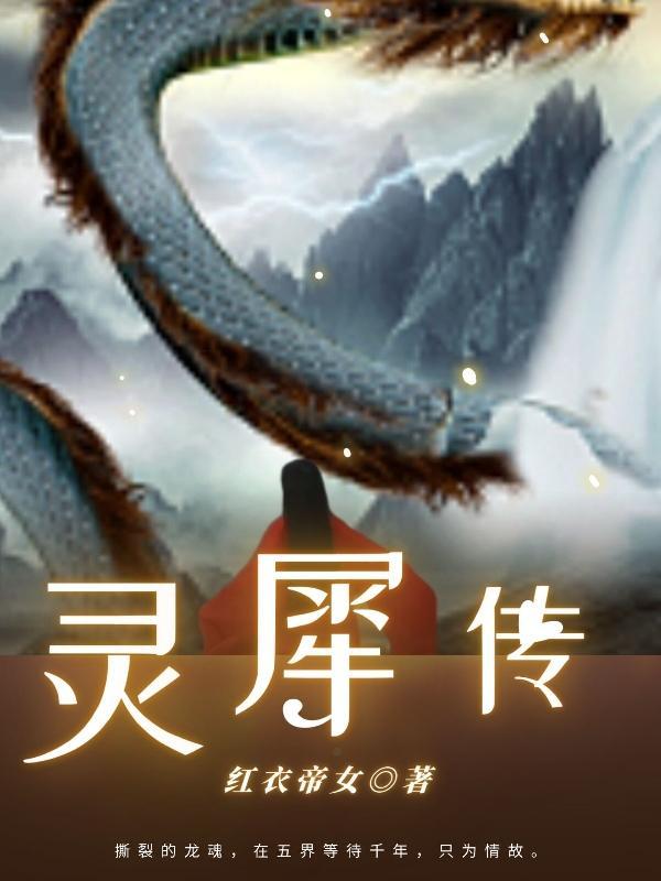 灵犀传媒投入2万