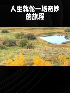 言情故事短篇1000字