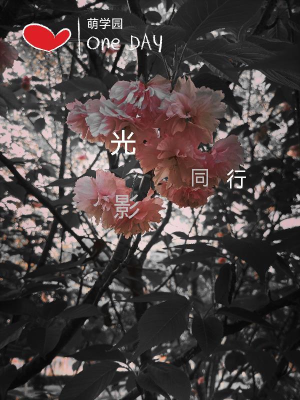 萌学园光属性