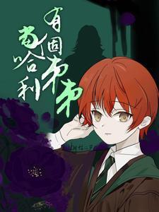 (hp)当哈利遇到harry