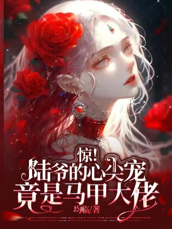 陆爷心尖上的人儿全文免费阅读漫西