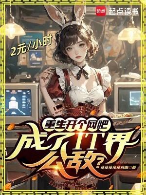 重生开个网吧成了it界公敌起点中文网