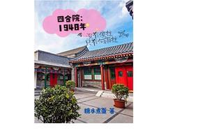 四合院1948年没有傻柱只有糖水煮蛋 著