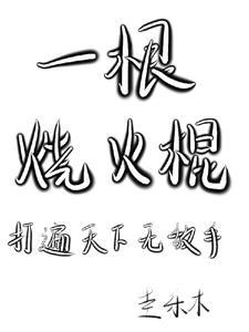 烧火棍的选择