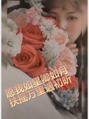 愿我如星君如月百度百科电视剧