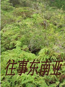缅北窝点人员回流名单