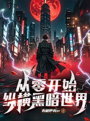 从零开始by暗夜奏鸣幅书