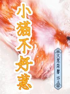 猫咪不友好