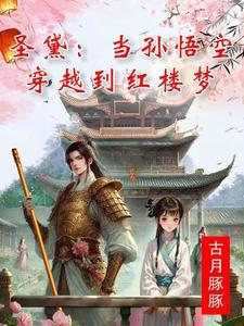 穿越红楼孙悟空成了红楼男主的