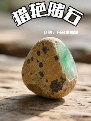 长篇纯赌石