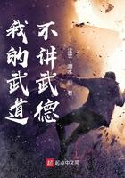 我的武道不讲武德顶点