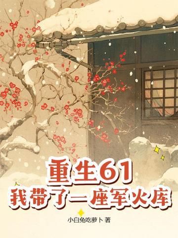 我带了一座军火库动漫