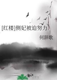 红楼侧妃被迫努力[何辞歌