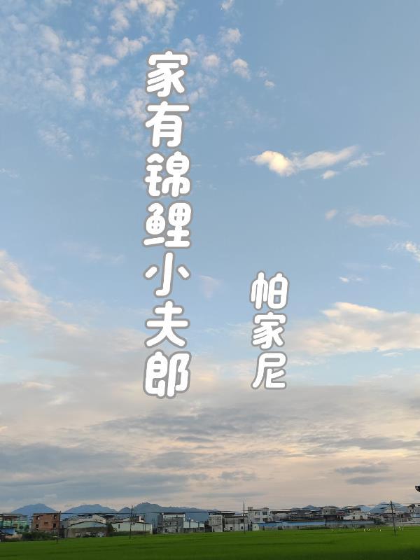 穿越锦鲤小夫夫