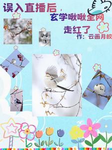 小金乌喜欢谁