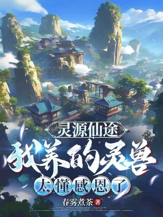 灵源是什么