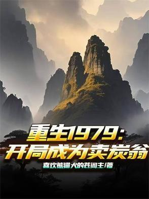 重生1979开局买航母