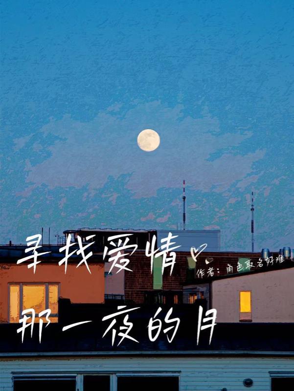 寻找爱情的下落详情介绍
