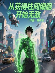 火影最强抽奖系统