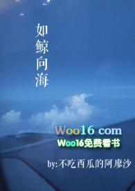 如鲸向海弥萝