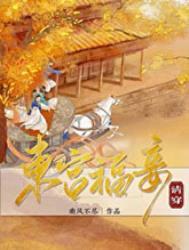 东宫福妾讲的什么