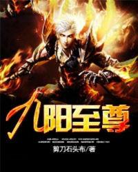 九阳至尊是什么东西