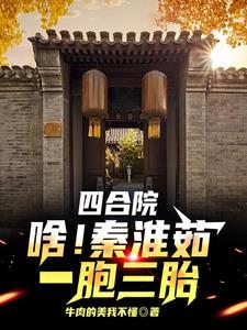 老四合院电视剧