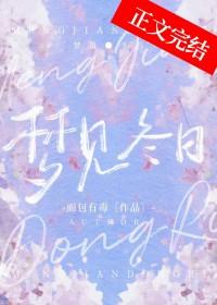 梦见冬日番外结局