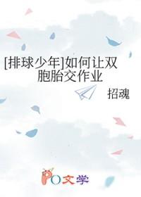 排球少年双胞胎宫治