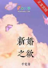 新婚之夜 书籍