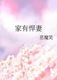 家有悍妻短剧