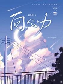 向心力由什么力提供