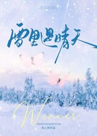 雪里遇晴天txt百度