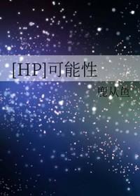 可能性为一是什么意思