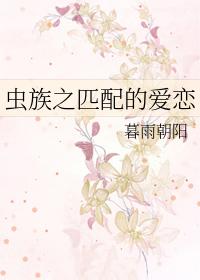 虫族之匹配的爱恋作者暮雨朝阳
