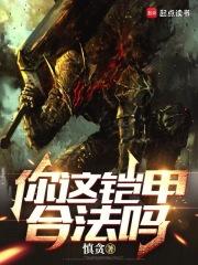 你这铠甲合法吗篱笆文学