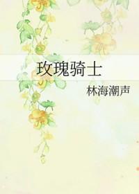 玫瑰骑士 电视剧