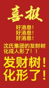 当发财树成为公司吉祥物后by鹤衔月