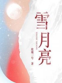 雪月亮免费阅读