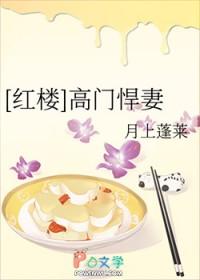 红楼高门悍妻