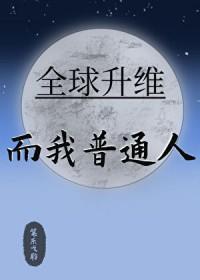 全球升级系统
