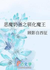 宠物小精灵同人女主