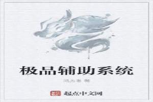 极品辅助手机版