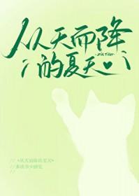 从天而降的夏天免费观看