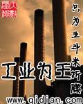 工业为王隐为者