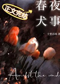 春夜犬事十里吞风TXT