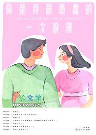 你是我最愚蠢的一次浪漫歌词含义